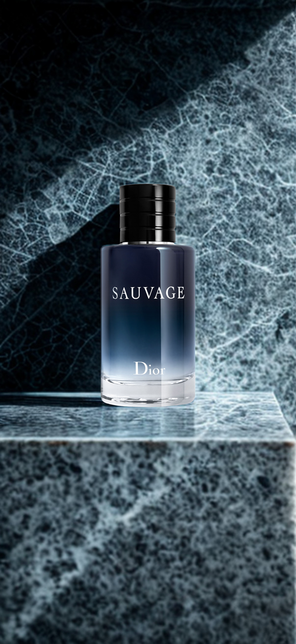 Dior Sauvage Eau de Toilette